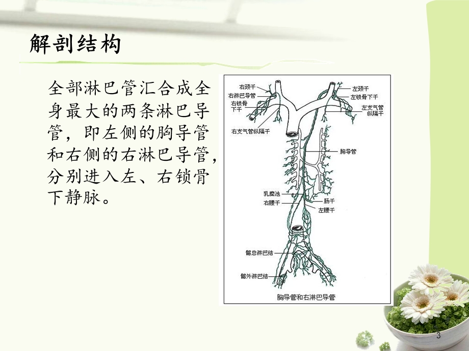 甲状腺术后乳糜漏的护理ppt课件.ppt_第3页