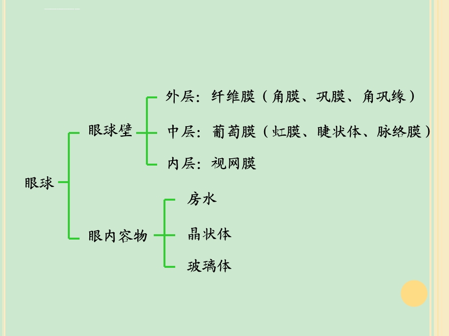 眼球的解剖与生理ppt课件.ppt_第2页