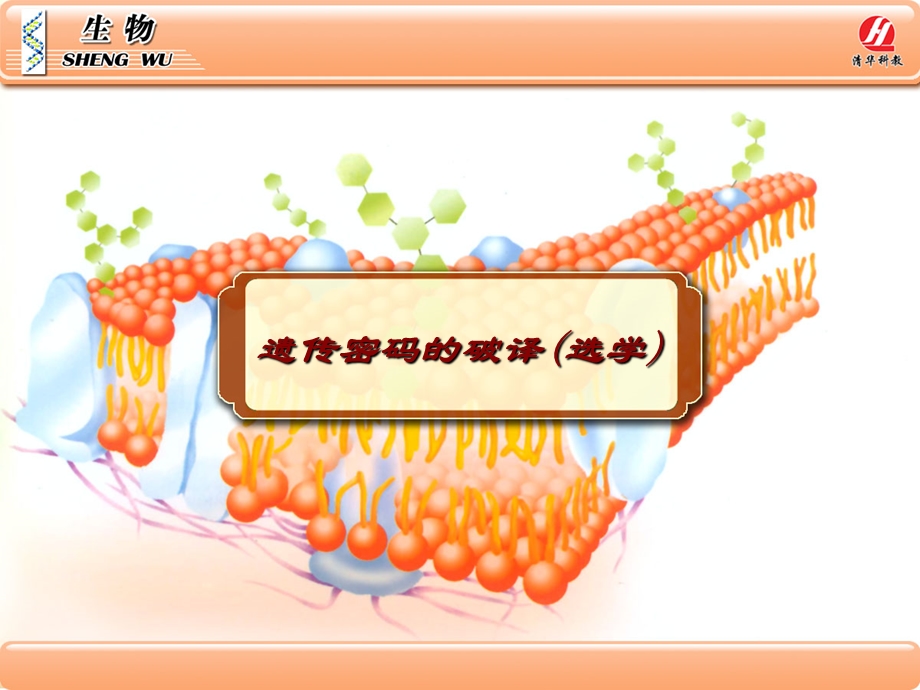 生物必修43《遗传密码的破译》ppt课件.ppt_第1页