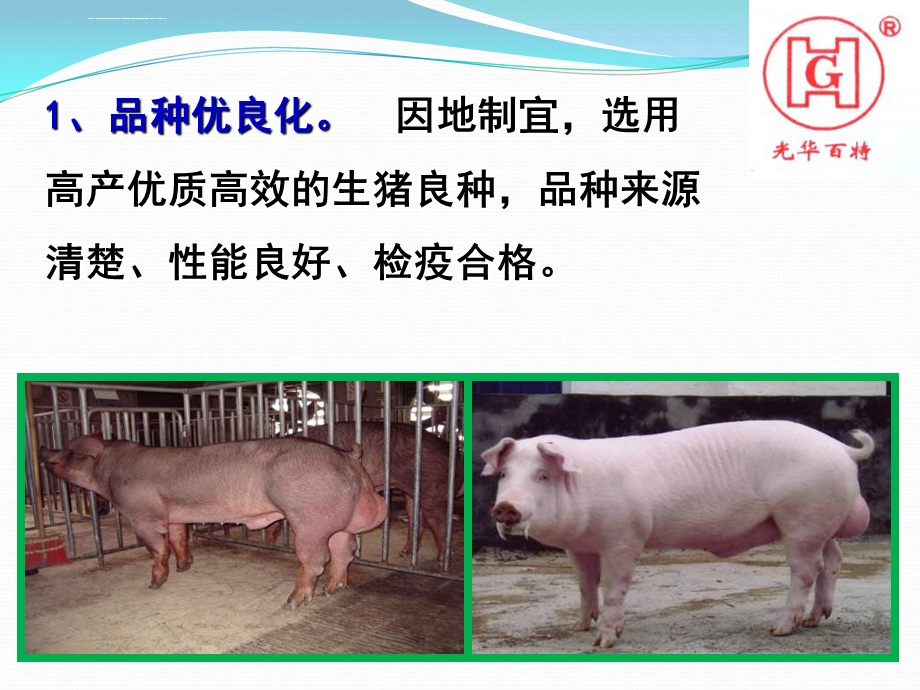 生猪标准化养殖技术ppt课件.ppt_第2页