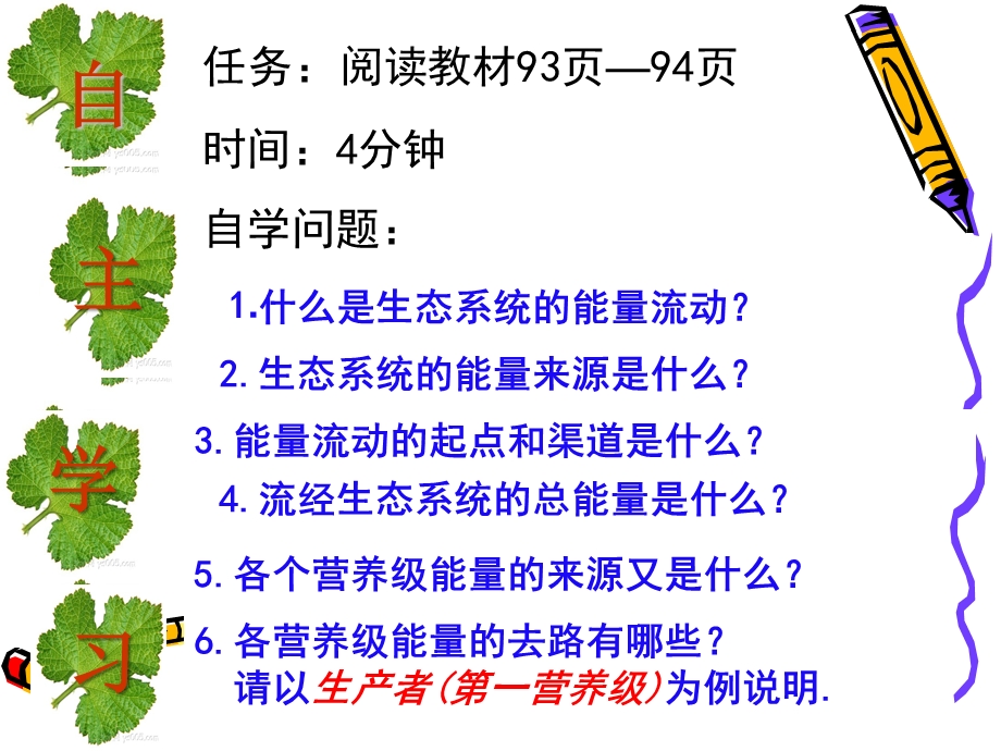 生态系统的能量流动(非常好用哦)分析ppt课件.ppt_第3页