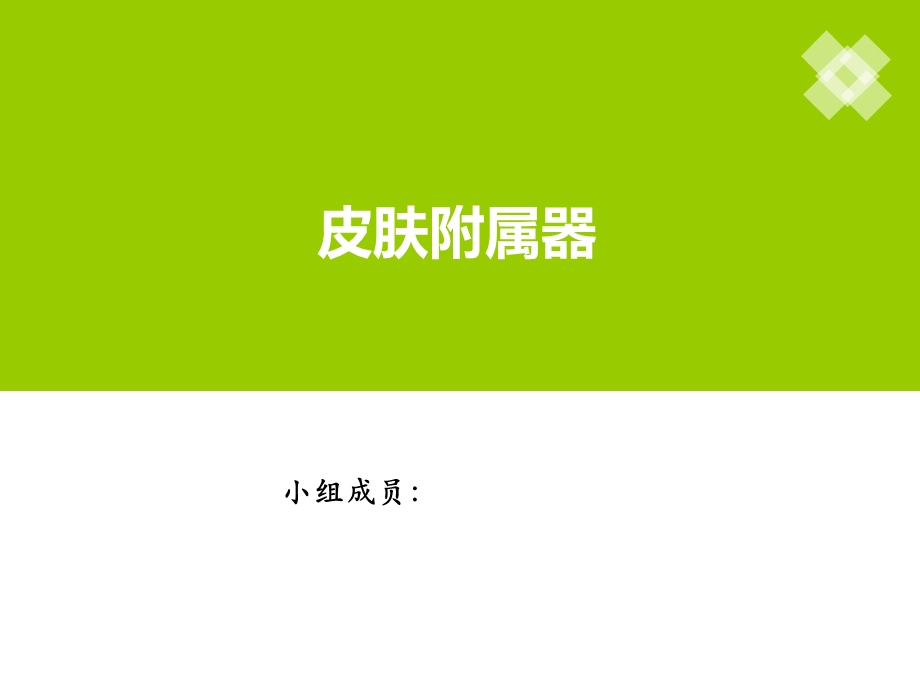 皮肤附属器及疾病ppt课件.ppt_第1页