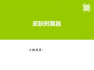 皮肤附属器及疾病ppt课件.ppt