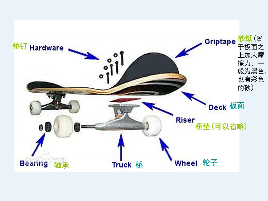 滑板的结构简介ppt课件.ppt_第3页