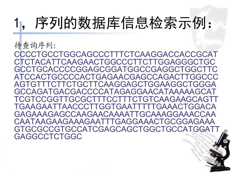 生物信息学上机实验2019更新ppt课件.ppt_第2页