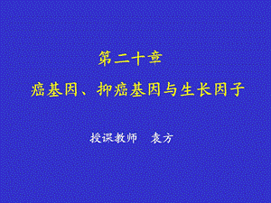 癌基因与抑癌基因ppt课件.ppt