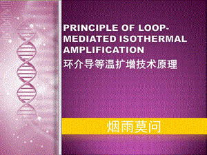 环介导等温扩增技术原理ppt课件.ppt