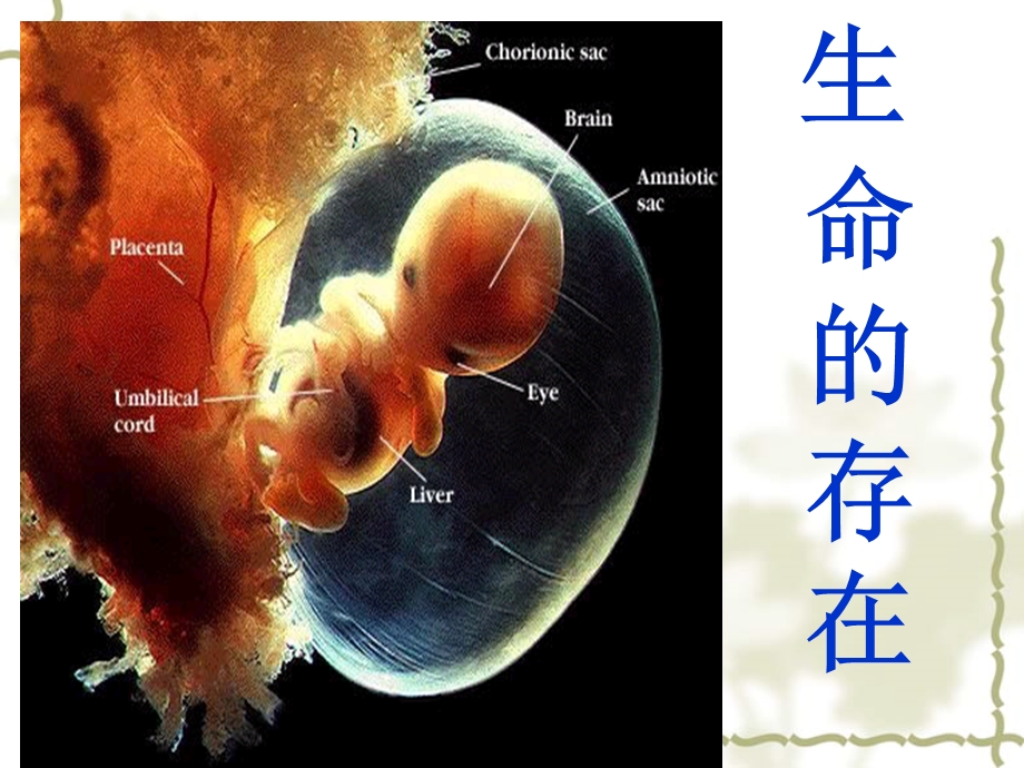 珍爱生命感恩父母团课班会ppt课件.ppt_第3页