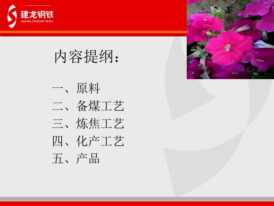 焦化厂详细工艺流程ppt课件.ppt_第2页