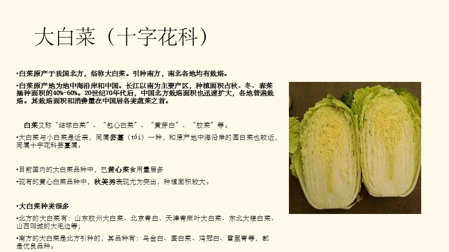 白菜常见病虫害防治ppt课件.ppt_第3页
