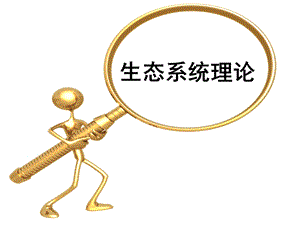 生态系统理论ppt课件.ppt