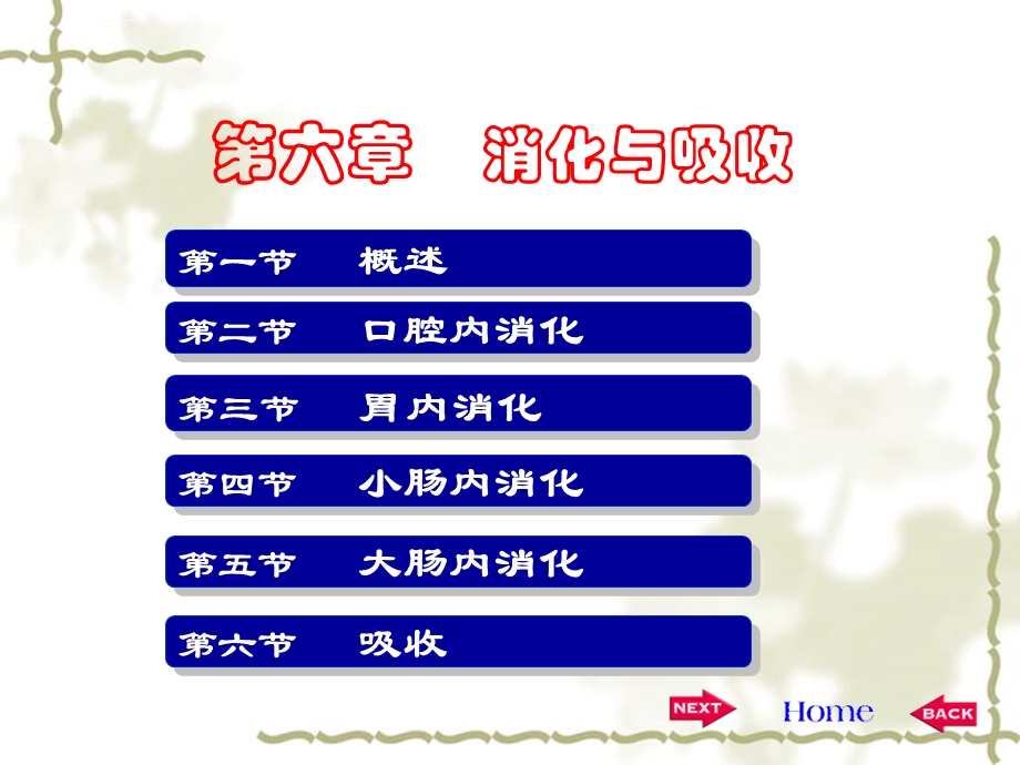 消化系统生理学ppt课件.ppt_第1页