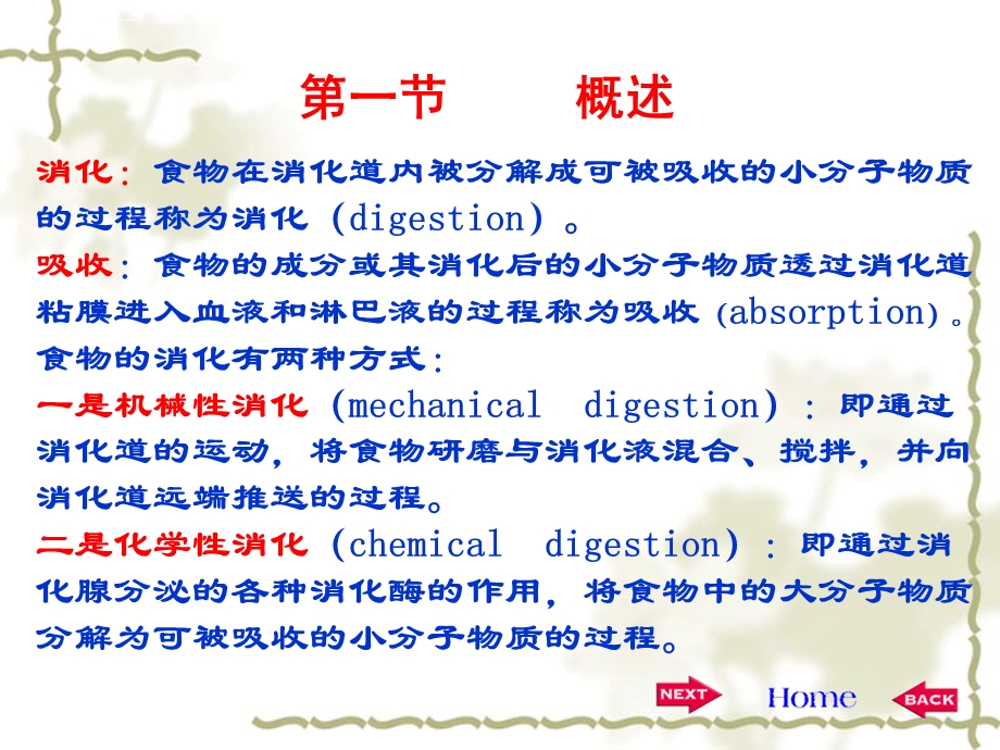 消化系统生理学ppt课件.ppt_第3页