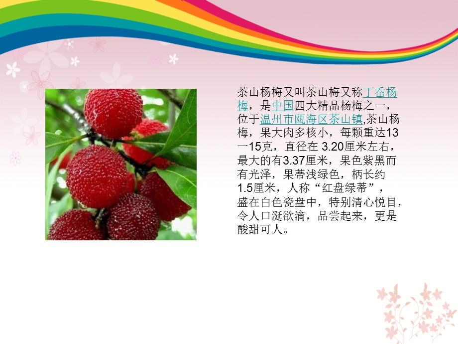 温州特产茶山杨梅ppt课件.ppt_第2页