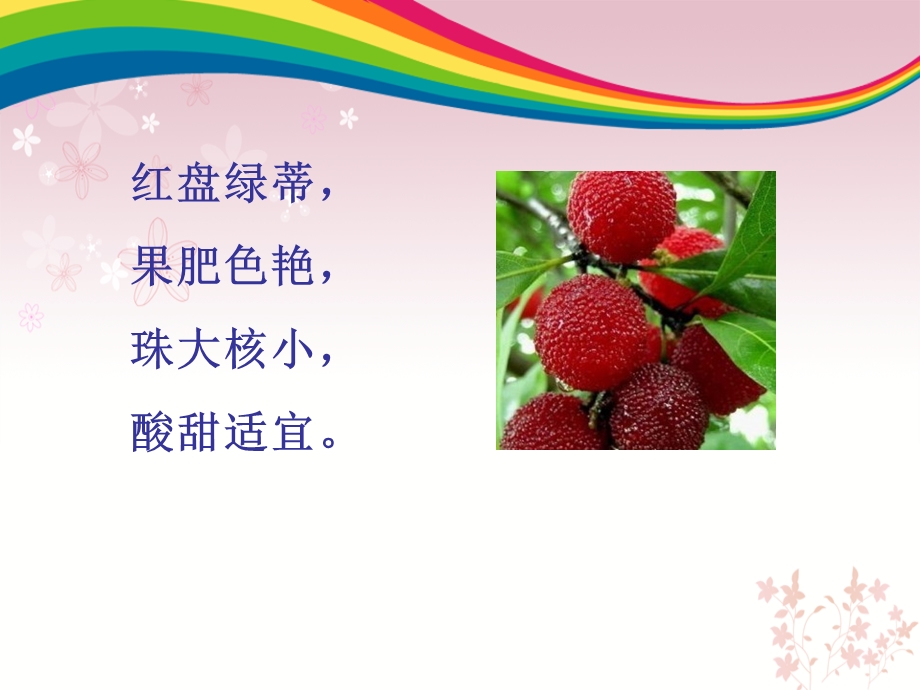 温州特产茶山杨梅ppt课件.ppt_第3页