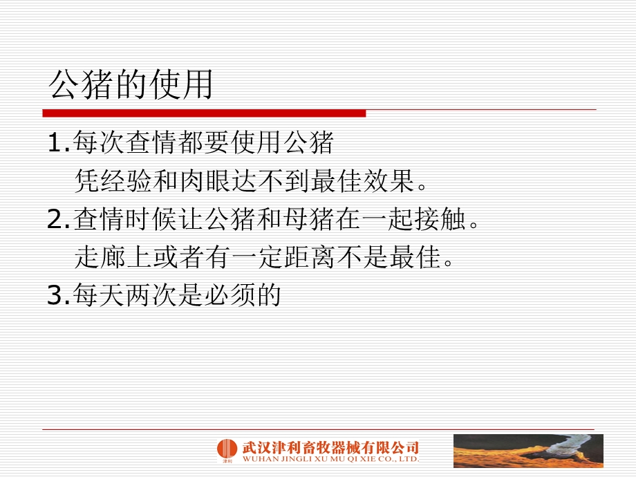 母猪配种管理ppt课件.ppt_第3页