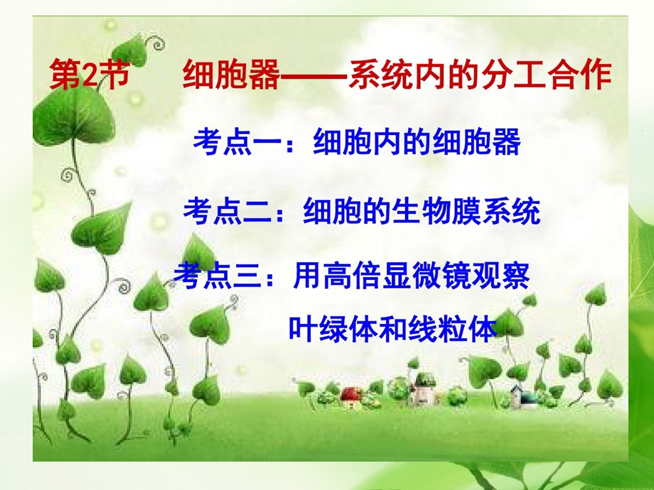 生物一轮复习细胞器ppt课件.ppt_第1页