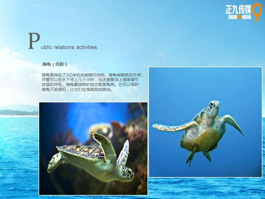 海洋动物鳄鱼表演展(合影)ppt课件.ppt_第2页