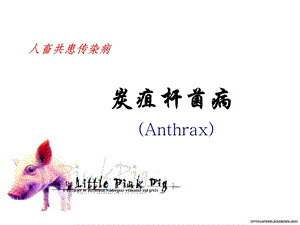 炭疽杆菌病ppt课件.ppt