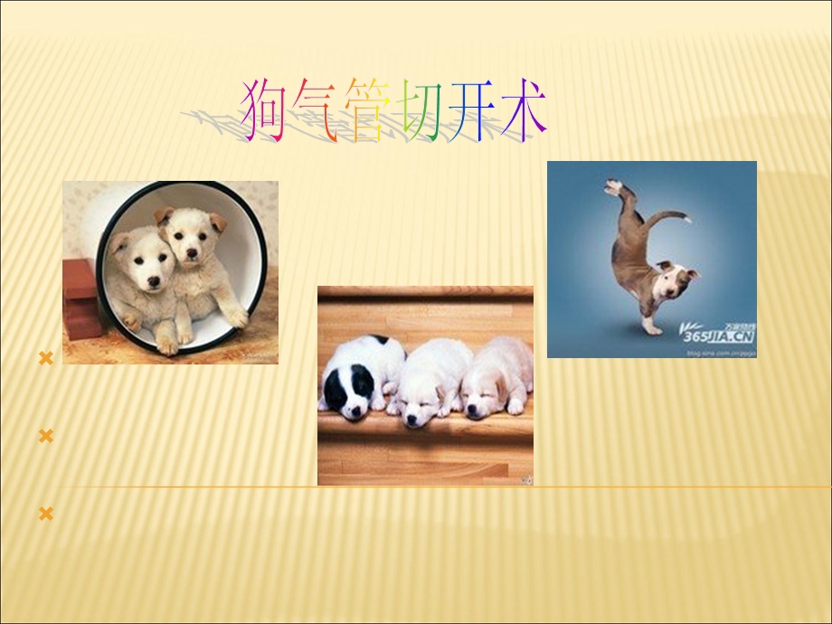 气管切开手术ppt课件.ppt_第1页