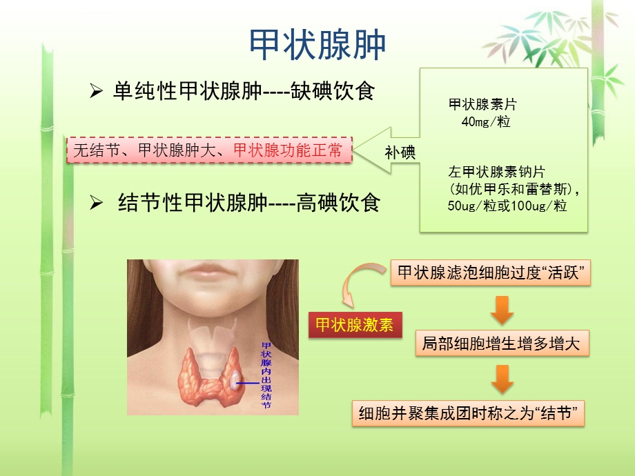 甲状腺疾病分类ppt课件.ppt_第3页