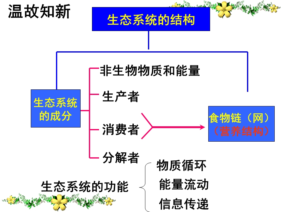 生态系统的稳定性公开课ppt课件.ppt_第1页