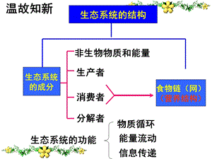 生态系统的稳定性公开课ppt课件.ppt