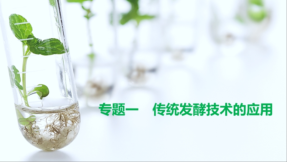 生物选修一专题一 传统发酵技术的应用 一轮复习ppt课件.pptx_第1页