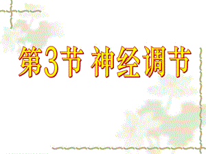 浙教版新教材3.3神经调节(第2课时)ppt课件.ppt