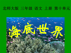 海底世界ppt课件.ppt