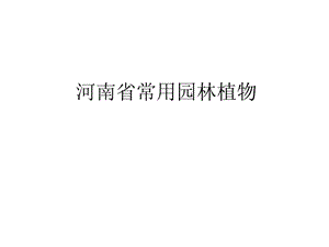 河南省常用园林植物ppt课件.ppt