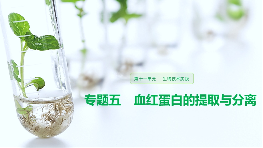 生物选修一专题五 血红蛋白的提取和分离 一轮复习ppt课件.pptx_第1页