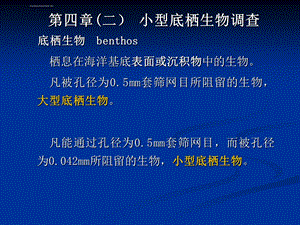 海洋生物资源调查第4章(二) 小型底栖生物调查(专业知识模板)ppt课件.ppt