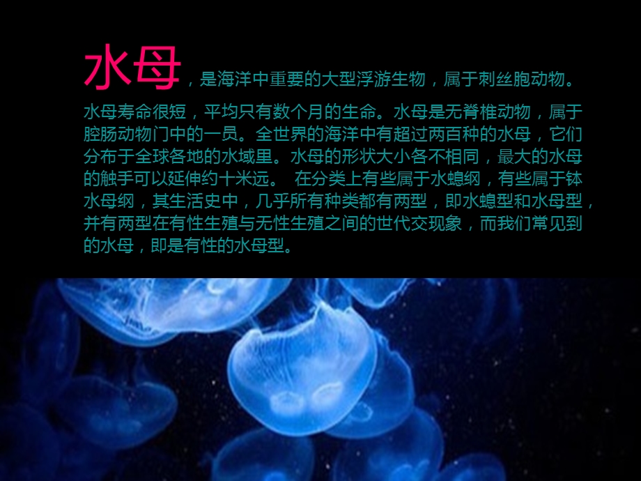 海洋世界租赁展览生物一览表ppt课件.ppt_第2页