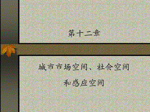 第十二章城市市场空间、社会空间和感应空间ppt课件.ppt