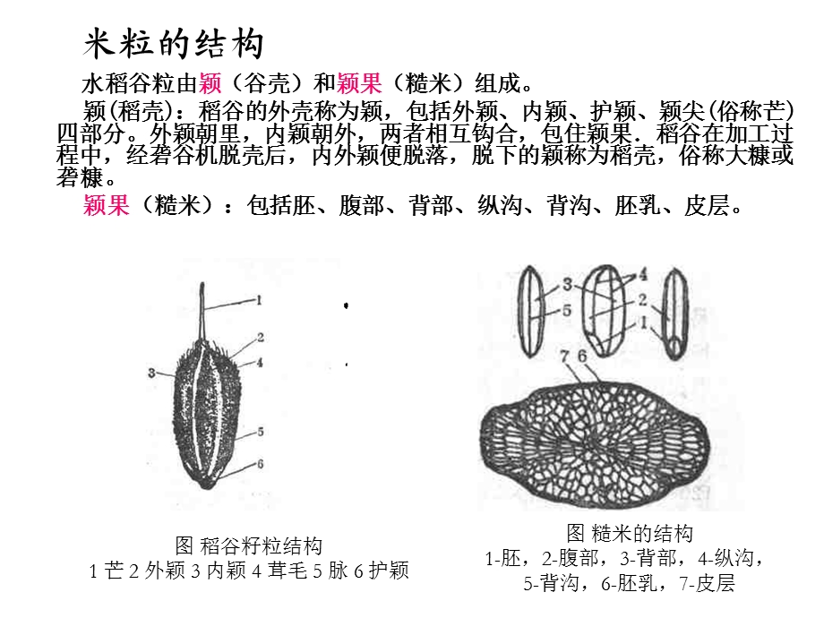 稻谷的加工详解ppt课件.ppt_第3页