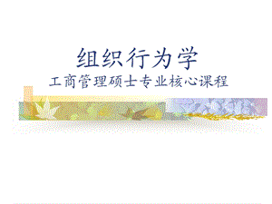 组织行为学—第一章：个体行为(深圳中集)ppt课件.ppt