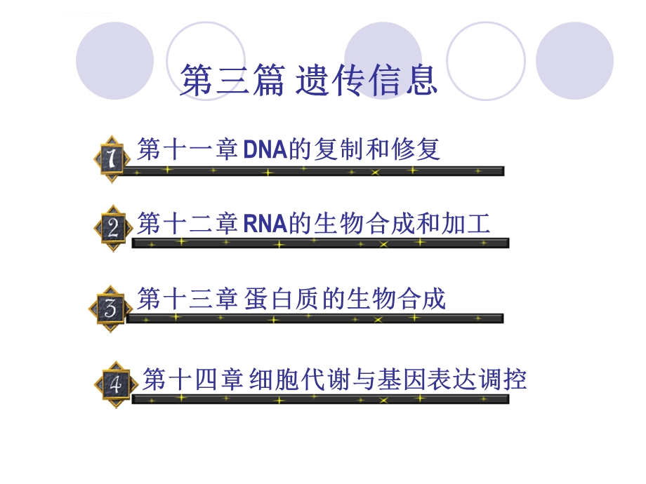 第十四章细胞代谢与基因表达调节ppt课件.ppt_第1页