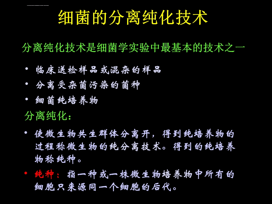 细菌分离培养ppt课件.ppt_第2页