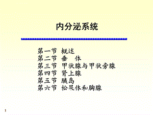 系统解剖学内分泌系统ppt课件.ppt