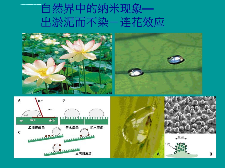 纳米材料基础ppt课件.ppt_第3页