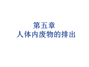 第五章人体内废物的排出 ppt课件.ppt