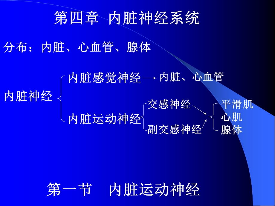 神经解剖内脏神经ppt课件.ppt_第1页