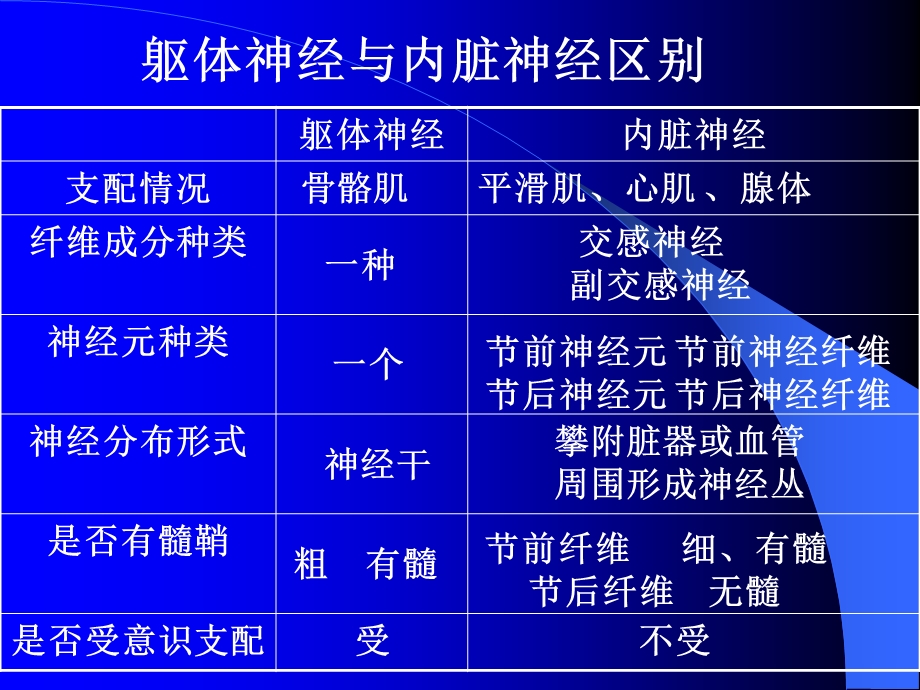 神经解剖内脏神经ppt课件.ppt_第2页