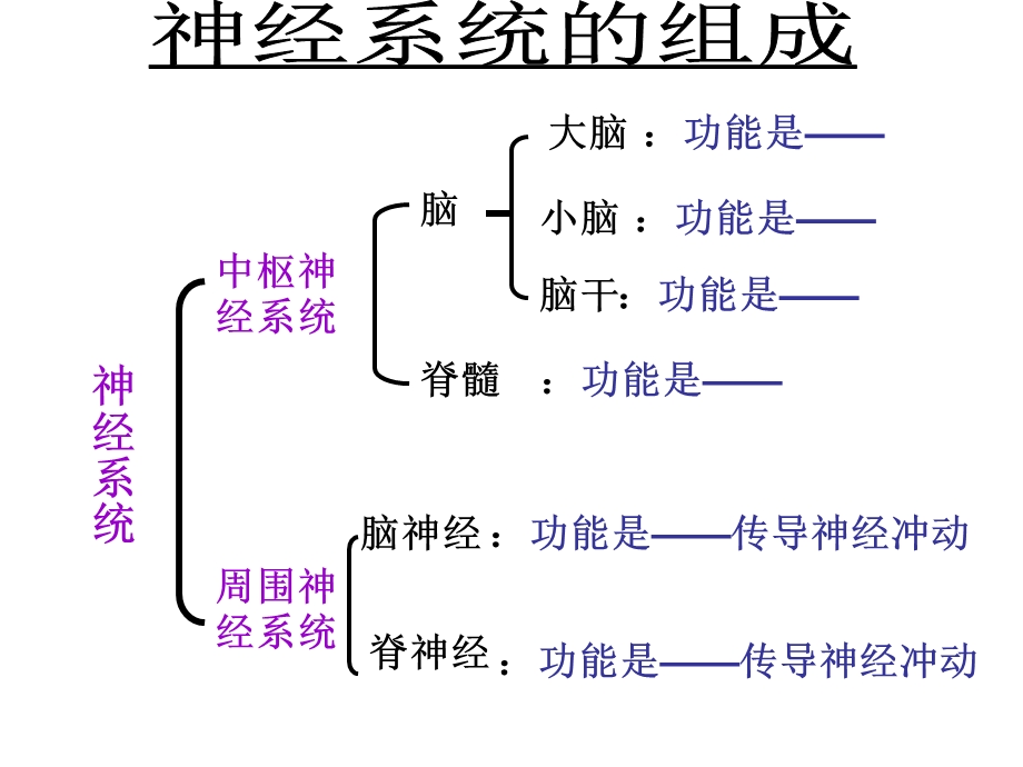 第四节激素调节公开课ppt课件.ppt_第1页