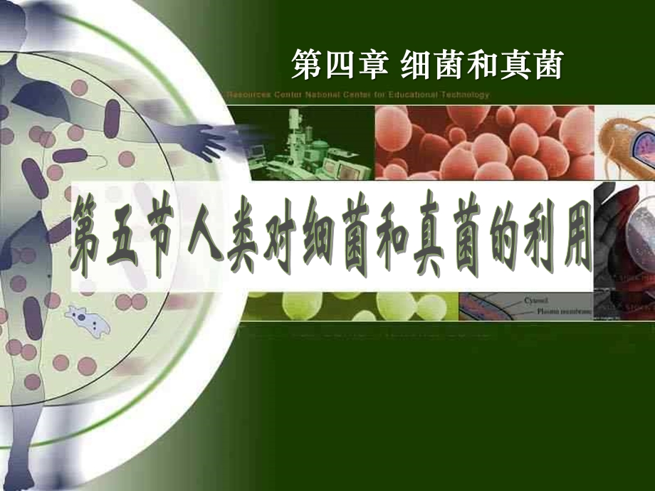 第五节人类对细菌和真菌的利用ppt课件.ppt_第1页