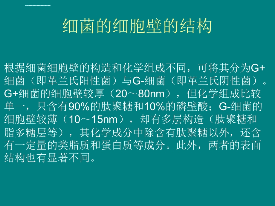 细菌细胞壁的结构和肽聚糖的合成ppt课件.ppt_第3页