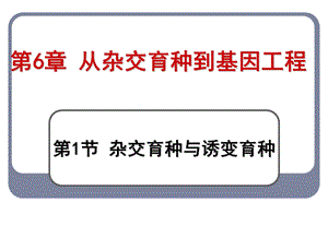 第6章从杂交育种到基因工程ppt课件.ppt