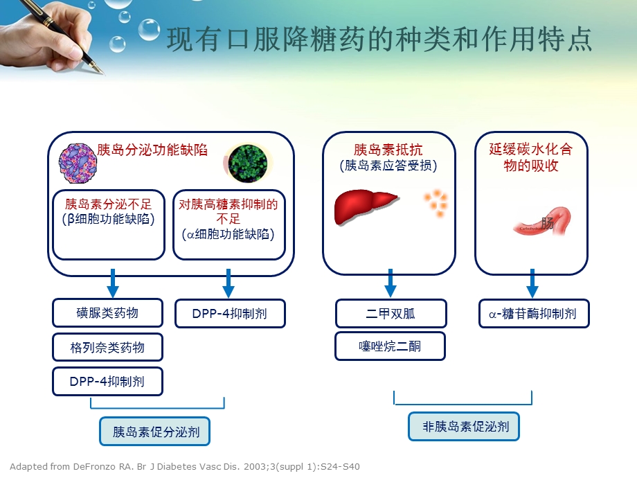 糖尿病常见口服药物分类ppt课件.ppt_第3页