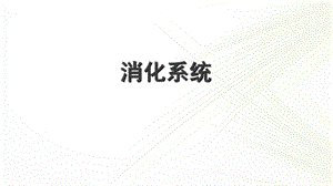 系统解剖学之消化系统ppt课件.ppt